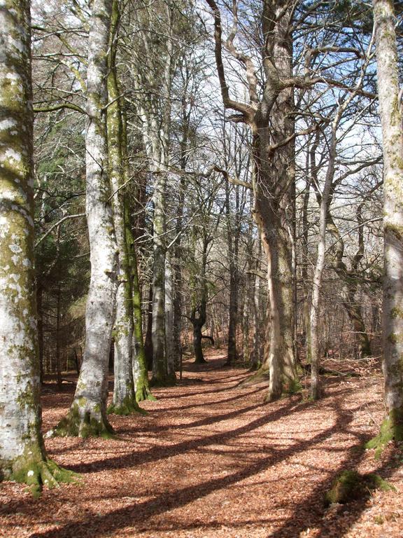 Craik Na Dav B&B Invermoriston Kültér fotó