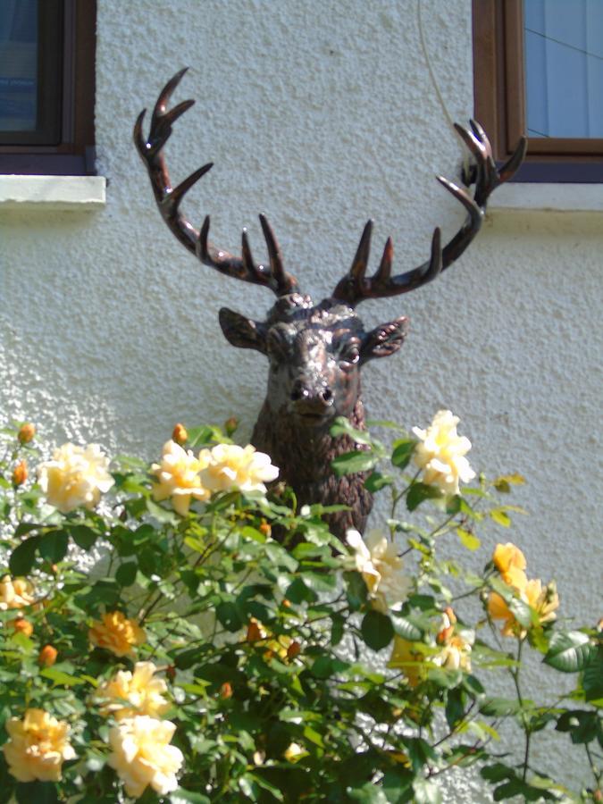 Craik Na Dav B&B Invermoriston Kültér fotó